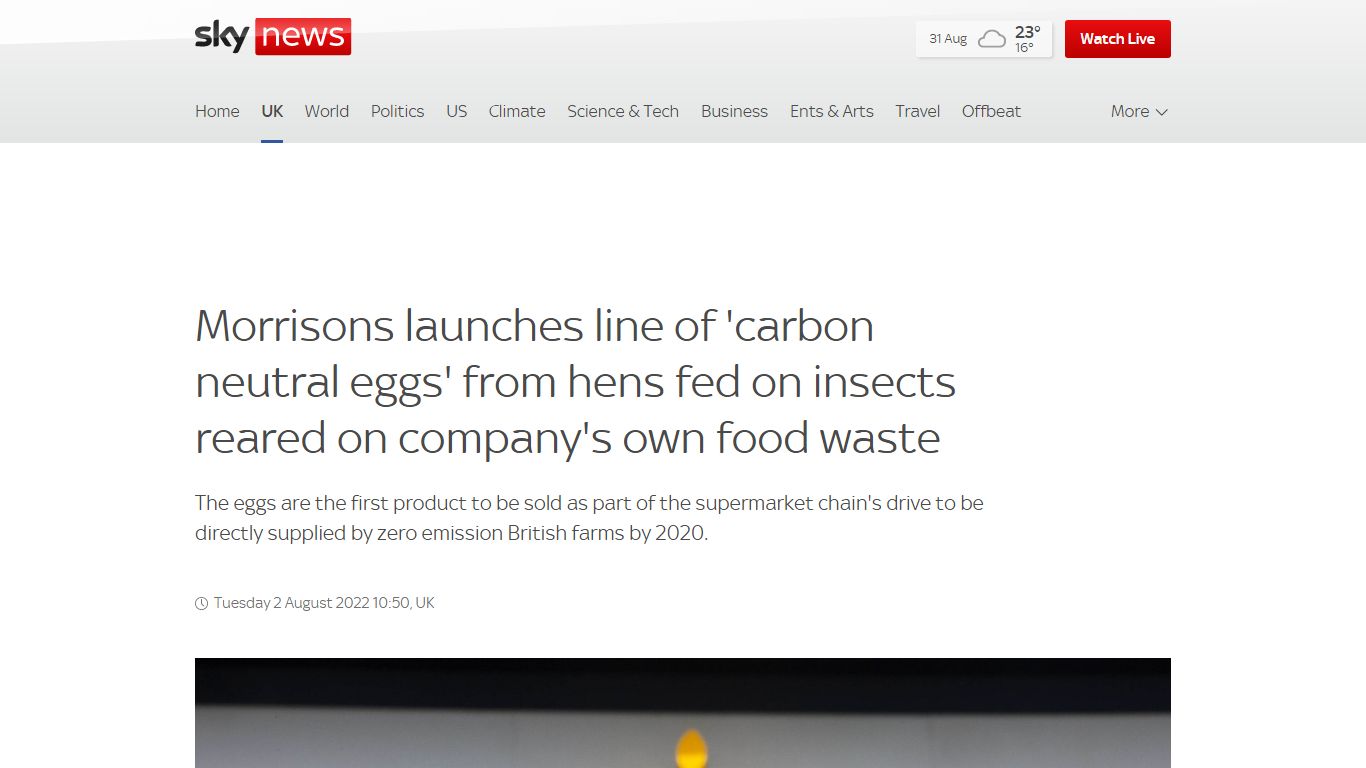 Morrisons launches line of 'carbon neutral eggs' from hens fed on ...